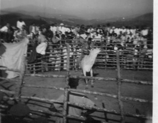 Foto - Localidades