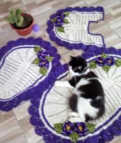 Foto - Glauce Carvalho