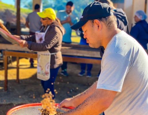 Foto - Festeiros e comunidade realizam a torra do amendoim para a tradicional Festa do Divino Espírito Santo 2024 em Nazaré Paulista