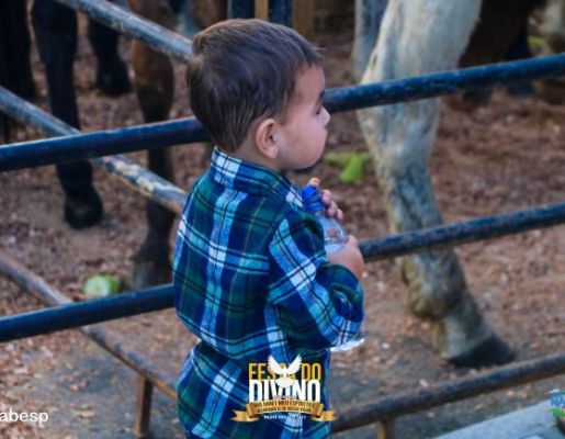 Foto - Tradicional Leilão de Prendas - Festa do Divino 2023