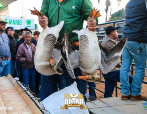 Foto - Tradicional Leilão de Prendas - Festa do Divino 2023