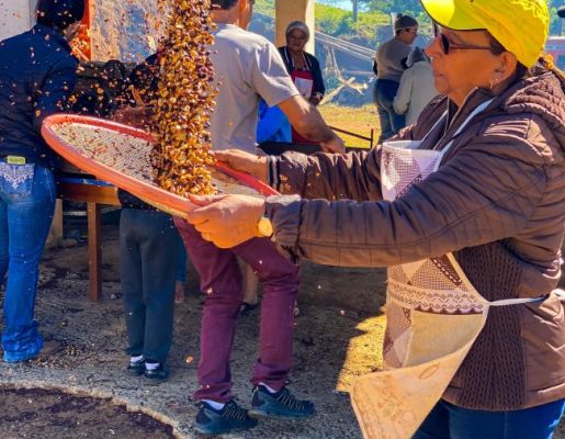 Foto - Festeiros e comunidade realizam a torra do amendoim para a tradicional Festa do Divino Espírito Santo 2024 em Nazaré Paulista