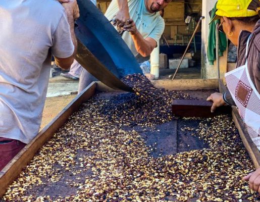 Foto - Festeiros e comunidade realizam a torra do amendoim para a tradicional Festa do Divino Espírito Santo 2024 em Nazaré Paulista