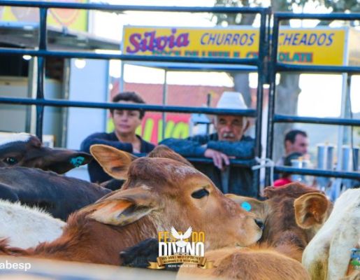 Foto - Tradicional Leilão de Prendas - Festa do Divino 2023