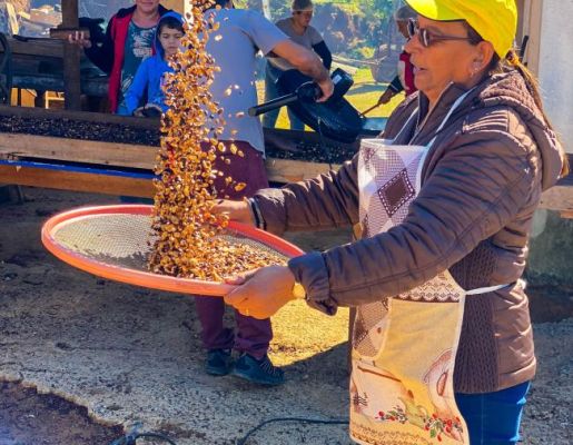 Foto - Festeiros e comunidade realizam a torra do amendoim para a tradicional Festa do Divino Espírito Santo 2024 em Nazaré Paulista
